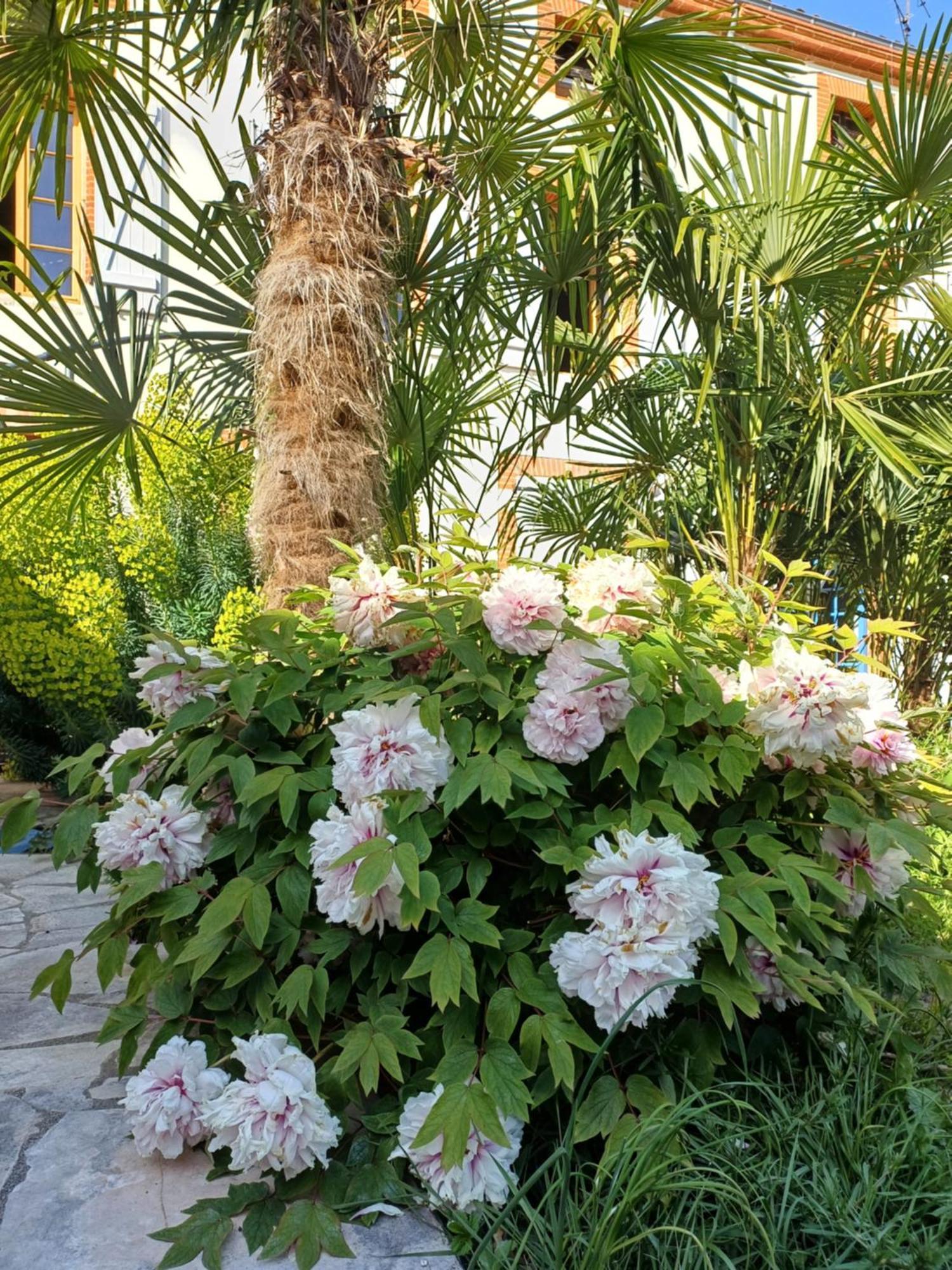 Le Relais De Lezat Otel Dış mekan fotoğraf